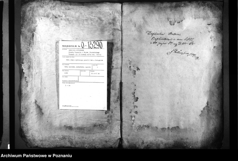 Obraz 3 z jednostki "Duplicatum natorum, copulatorum, mortuorum"