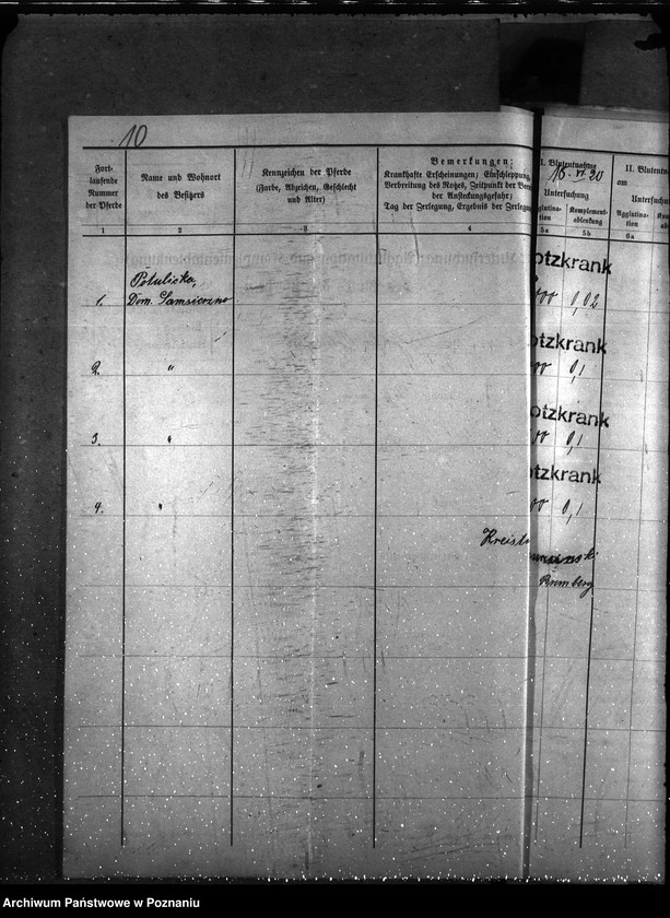 Obraz 14 z jednostki "Nosacizna - Bydgoszcz"