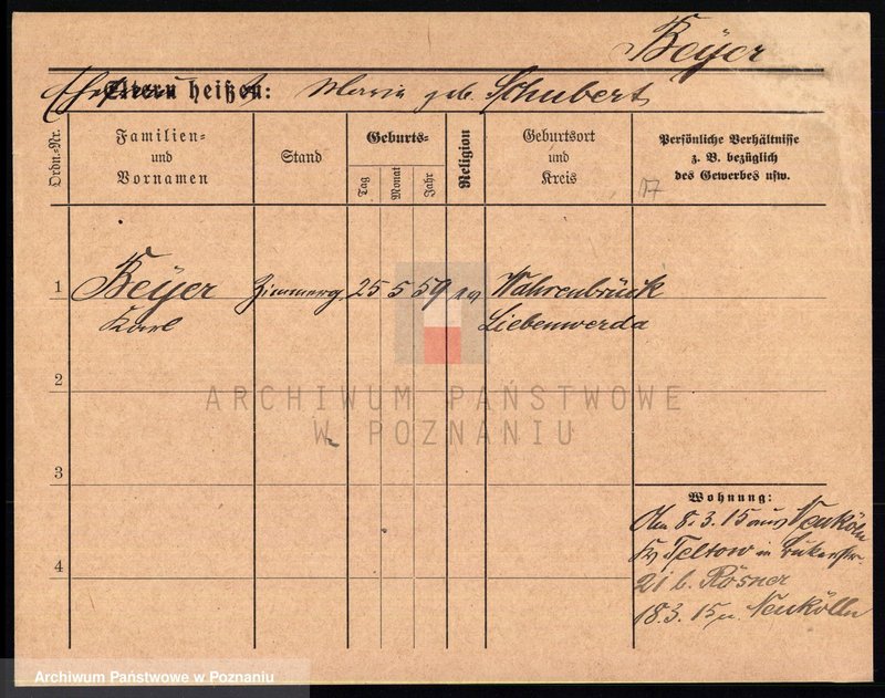 Obraz 17 z jednostki "Bajer (Bayer, Beyer)"