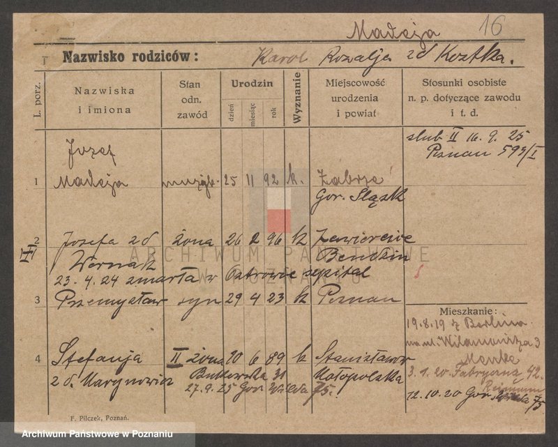 Obraz 16 z jednostki "Madamski - Maguszewska"