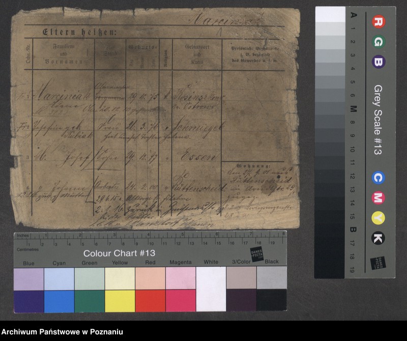 Obraz 3 z jednostki "Marciniak (żonaci i wdowy)"