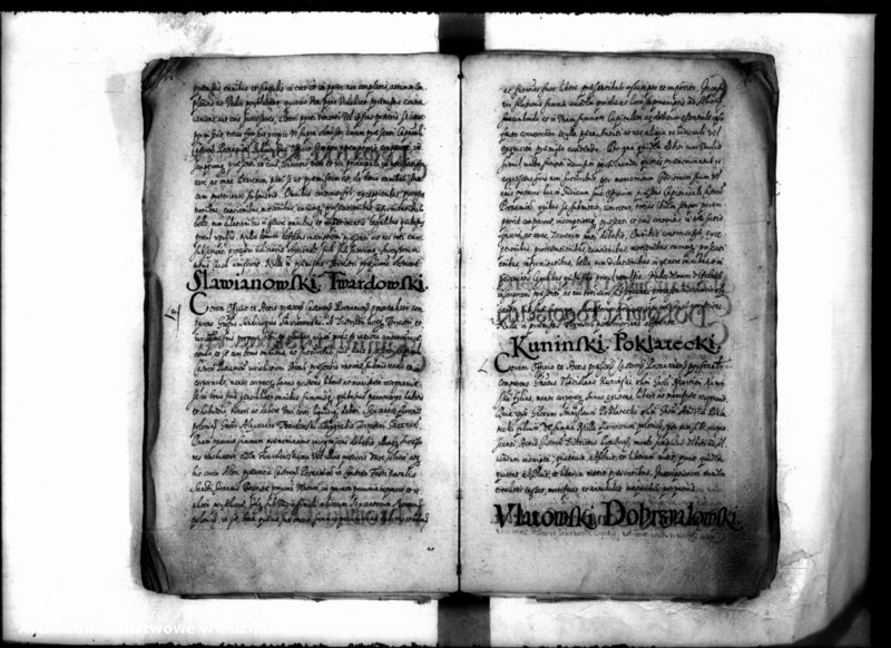 Obraz 20 z jednostki "Inscriptiones [inducta]"