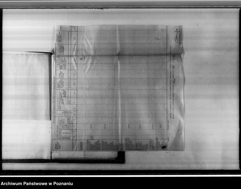 Obraz 15 z jednostki "Akta sprawy zalesienia nieużytków w powiecie konińskim"