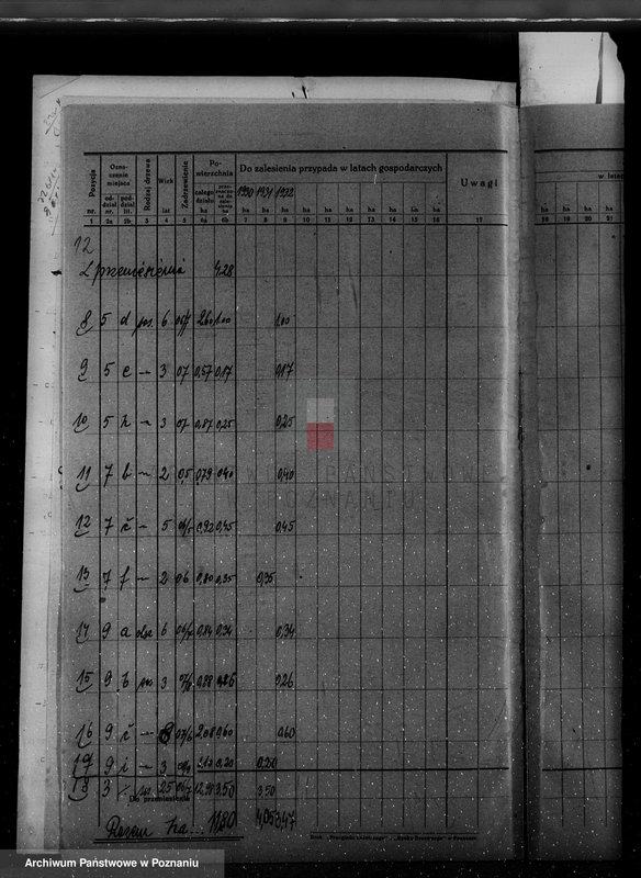Obraz 16 z jednostki "/Nadzór nad gospodarką leśną w majętności Hutka w powiecie czarnkowskim"