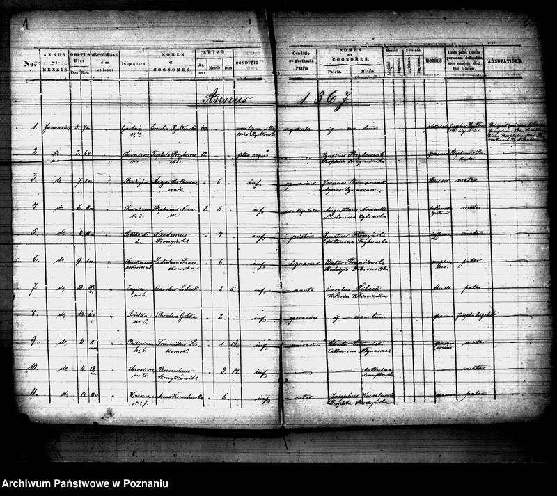 Obraz 2 z jednostki "Księga zgonów"