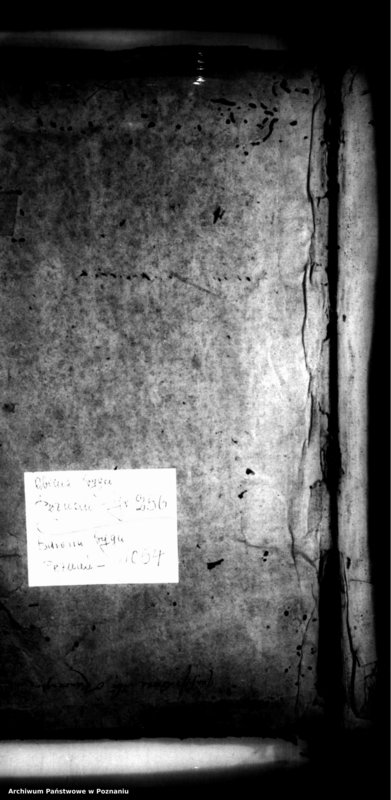 Obraz 3 z jednostki "Inscriptiones [inducta]"