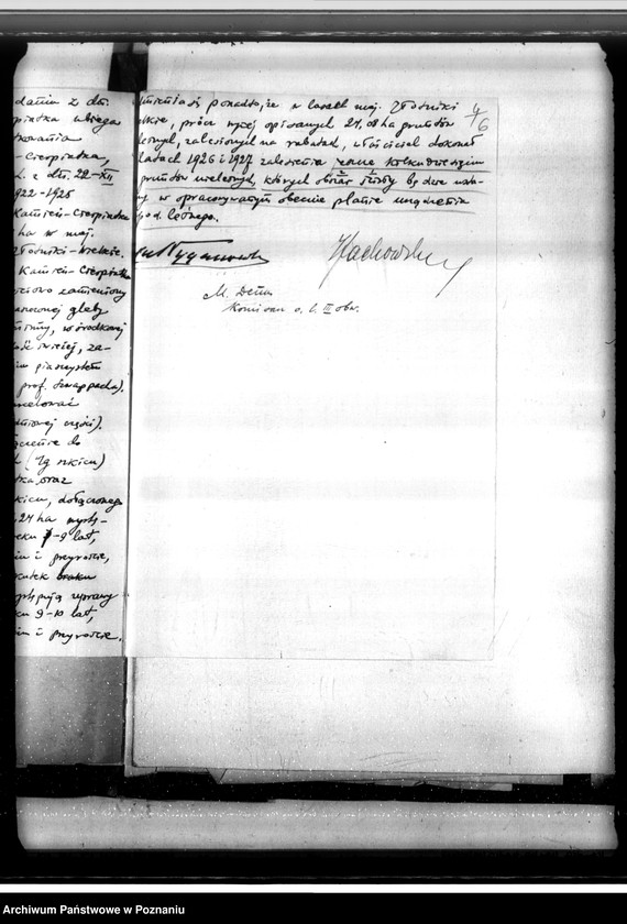 Obraz 10 z jednostki "Majątek Kamień-Cierpiatki powiat kaliski /sprawy leśne/"