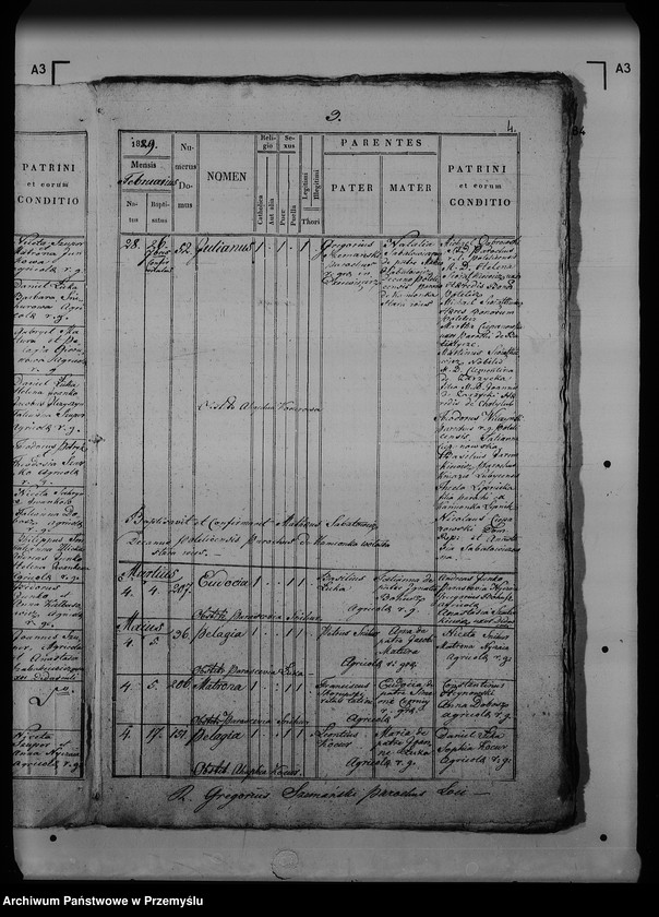 Obraz 8 z jednostki "[Kopie ksiąg metrykalnych parafii Dziewięcierz (dekanat Rawa Ruska)]"