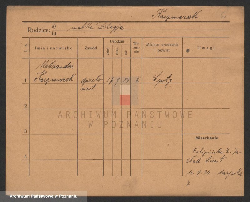 Obraz 6 z jednostki "Kaczmarek A-H (samotni mężczyźni)"