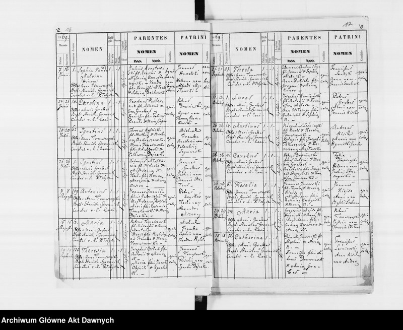 image.from.unit.number "Parafia: Płotycz. Dekanat: Tarnopol. Księga metrykalna urodzeń, ślubów i zgonów dla wsi: Płotycz, Czernichów, Czystyłów, Hladki, Iwaczów Dolny, Iwaczów Górny, Ihrowica*, Jankowce, Małaszowce."