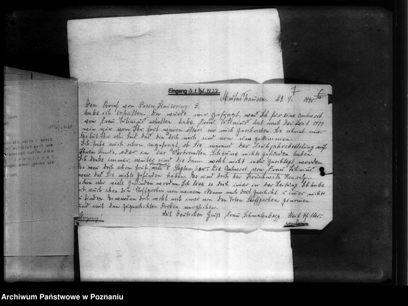 Obraz 11 z jednostki "Schmalenberg, Martoshausen (powiat Bydgoszcz)"