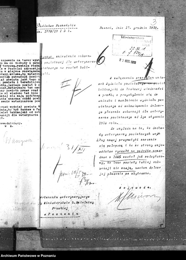 Obraz 7 z jednostki "Weterynarze powiatowi - subwencje"