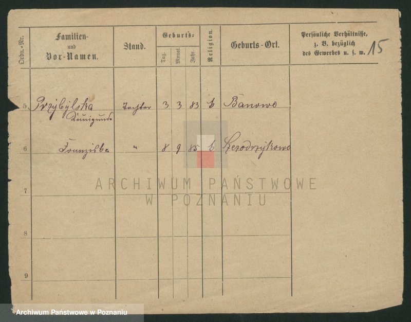 Obraz 17 z jednostki "Przybylski (żonaci - samotni mężczyźni do Gustaw)"