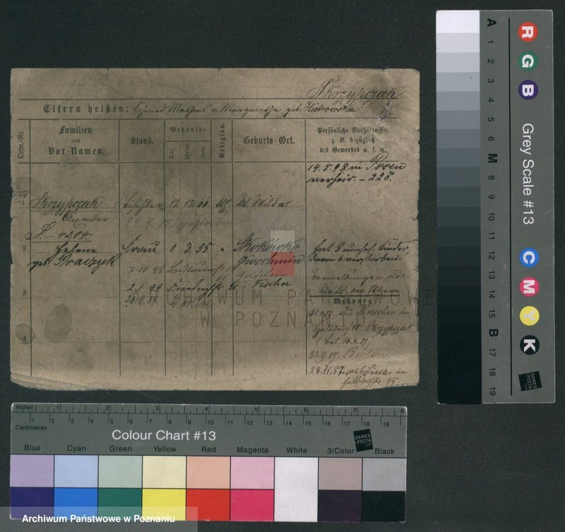 Obraz 5 z jednostki "Skrzypczak (żonaci - samotni mężczyźni)"