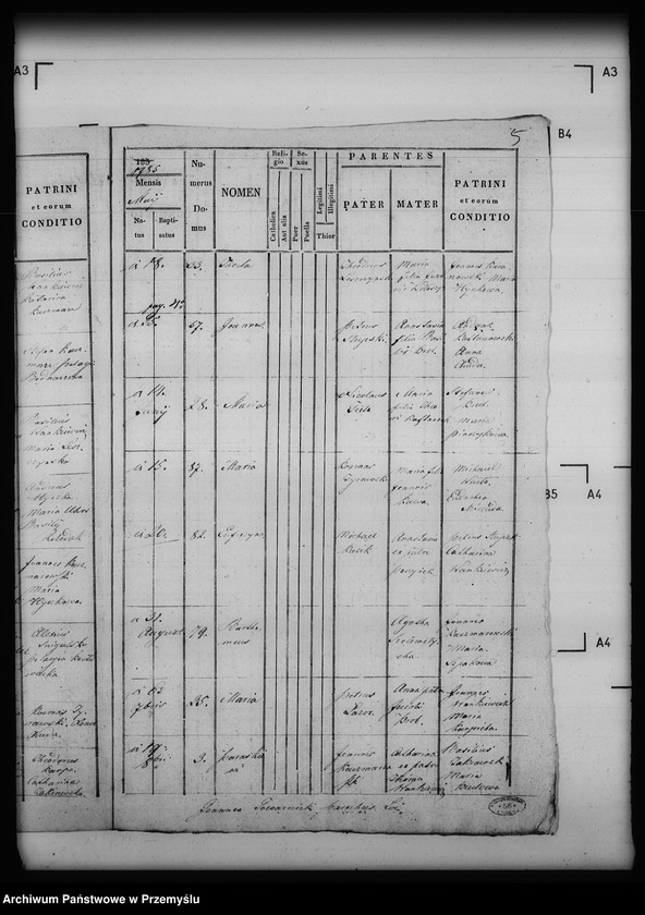 image.from.unit.number "[Kopie ksiąg metrykalnych parafii Przedzielnica z filiami Grabownica, Hubice, Podmojsce (dekanat Dobromil)]"