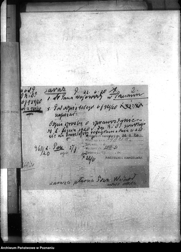 Obraz 6 z jednostki "Zaraza płucna - Poznań-Wschód"