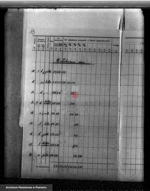 Obraz 17 z jednostki "Plan urządzania gospodarstwa leśnego dla lasu majętności Gorzyczki powiat kościański"