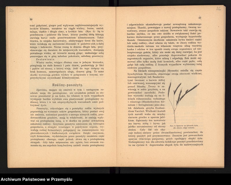 image.from.unit.number "V Sprawozdanie Dyrekcji Prywatnego Gimnazjum im. Juliusza Słowackiego w Czortkowie i Zarządu Towarzystwa Szkoły Średniej utrzymującego Gimnazjum za rok szkolny 1913/14"