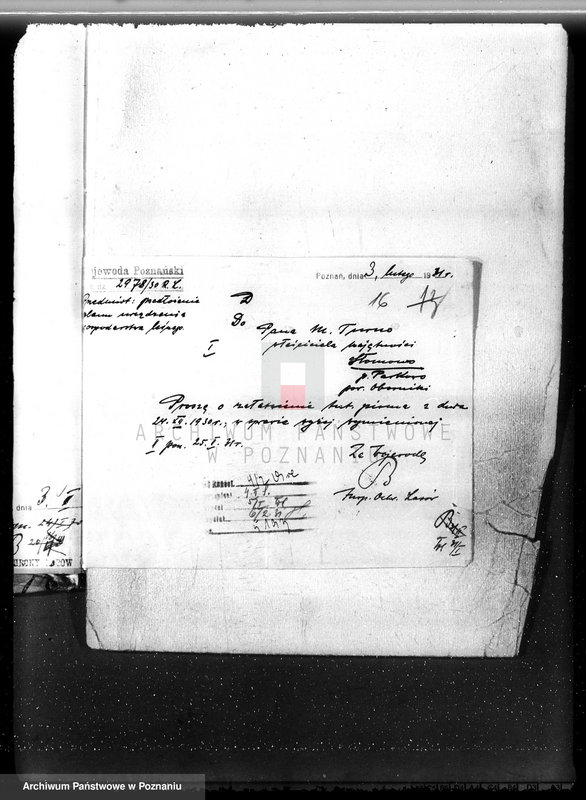 Obraz 20 z jednostki "Las majętność Słomowo-Pacholewo powiat obornicki"