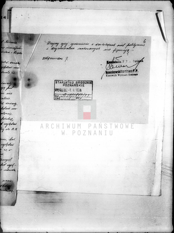 Obraz 11 z jednostki "/Towarzystwo Ornitologiczne w Poznaniu/"