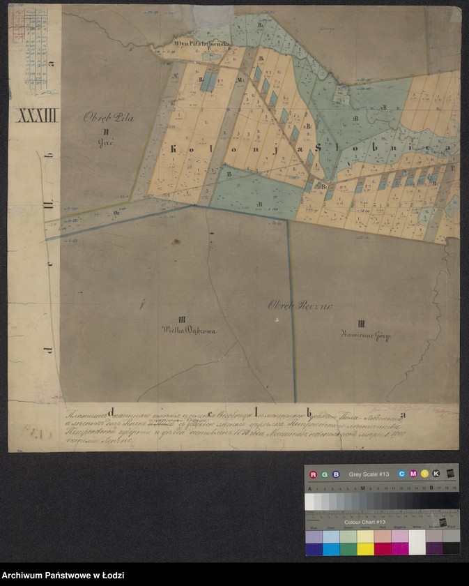 Obraz 1 z jednostki "Pierworys Urządzenia Dóbr Rządowych Stobnica ..."
