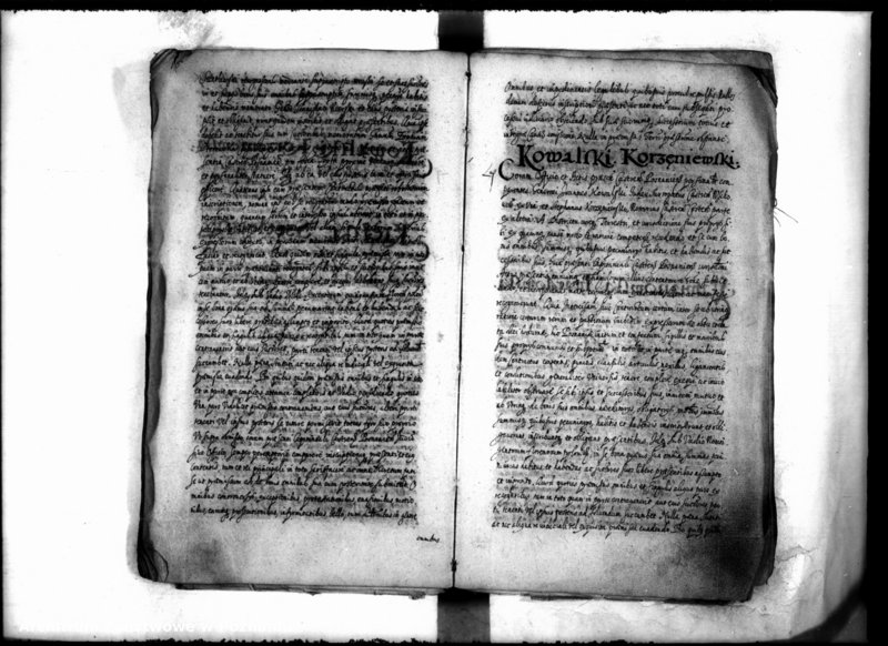 Obraz 19 z jednostki "Inscriptiones [inducta]"