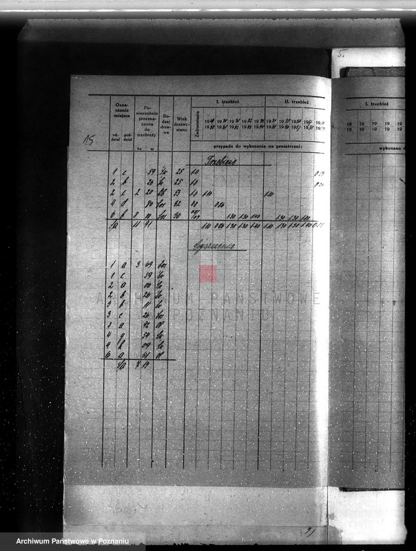 image.from.unit.number "Plan urządzenia gospodarstwa leśnego dla lasu majętności Przyborówko powiat szamotulski 1929-1939"