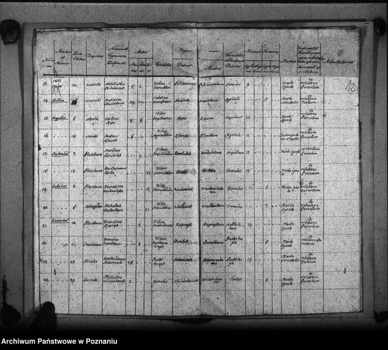 image.from.unit.number "Liber baptisatorum, copulatorum, mortuorum"