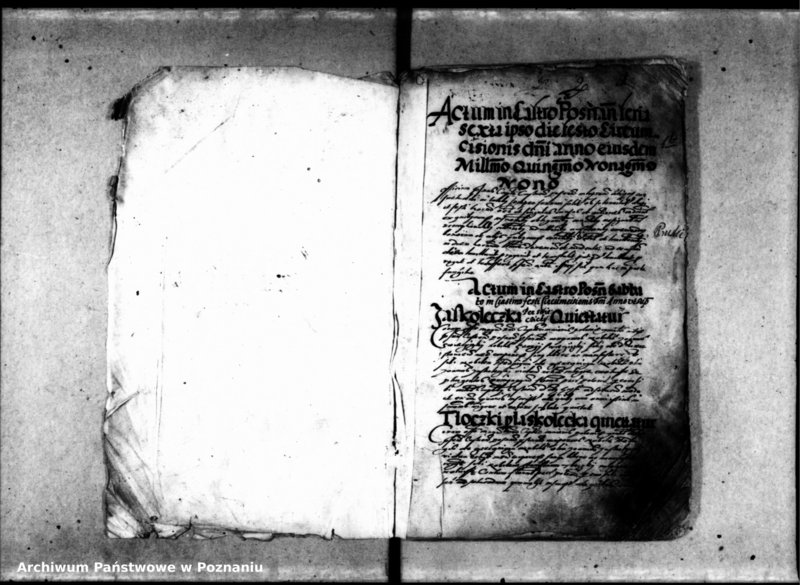 Obraz 6 z jednostki "Inscriptiones [inducta]"