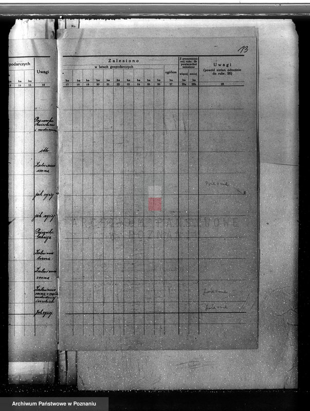 Obraz 17 z jednostki "Plan urządzania gospodarstwa leśnego dla lasu majętności Jezierzyce powiat kościański 1927-1938"