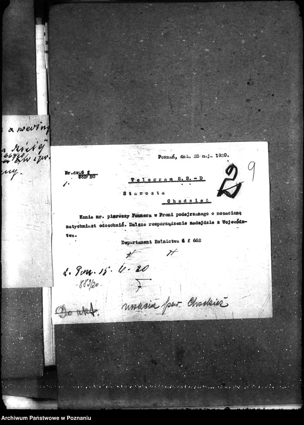 Obraz 14 z jednostki "Nosacizna - Chodzież"