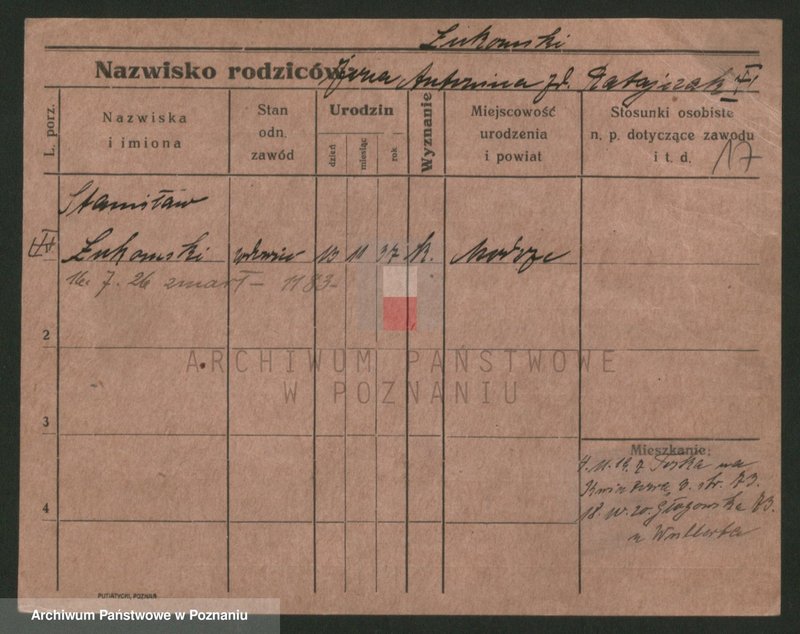 Obraz 17 z jednostki "Luke - Lulka"