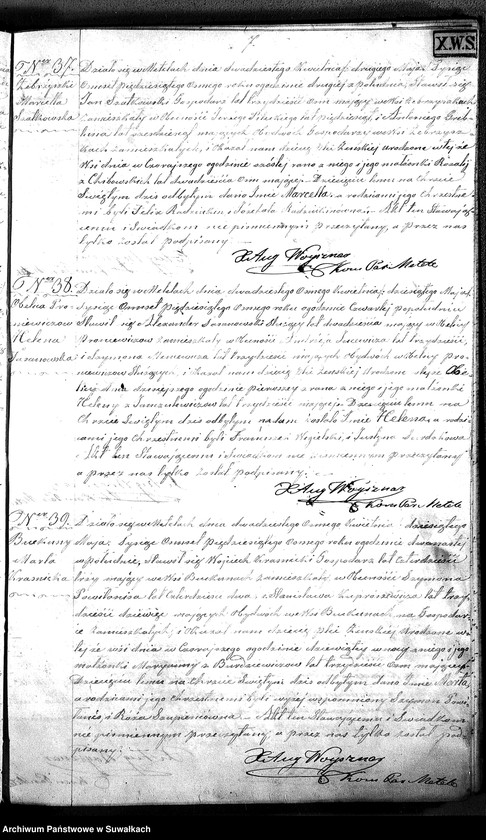 Obraz 18 z jednostki "D.L. P. Metel 1858"