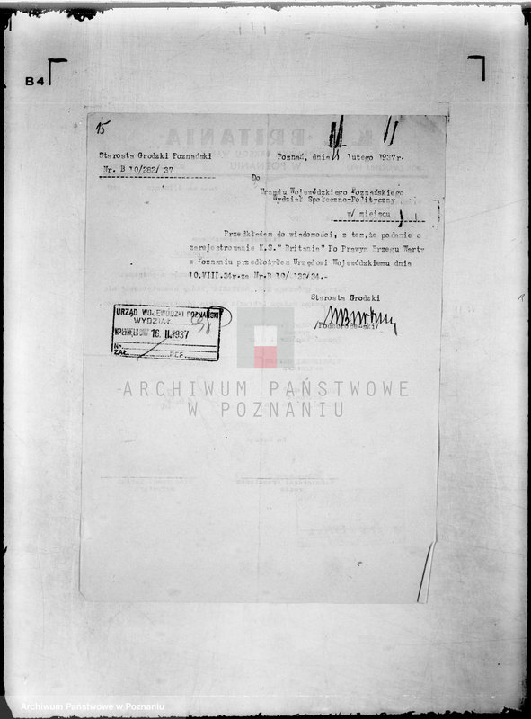 Obraz 19 z jednostki "/Klub Sportowy,,Britania" w Poznaniu/"