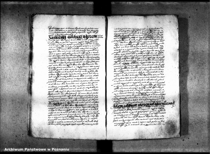 Obraz 16 z jednostki "Inscriptiones [inducta]"