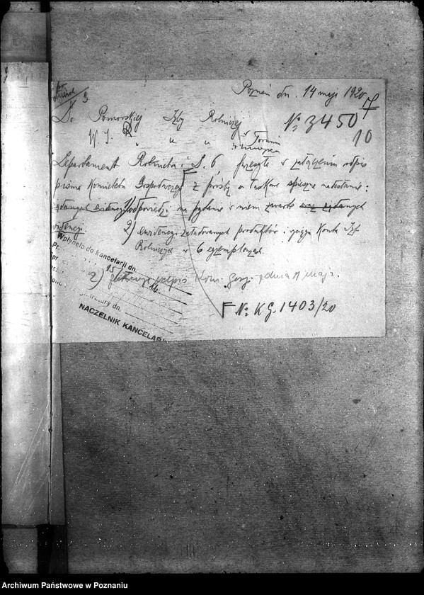 Obraz 12 z jednostki "Zboże uznane do siewu - ogólne sprawy"