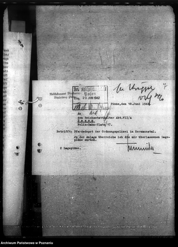 Obraz 11 z jednostki "Pferdedepot der Polizei - Hermanntal bei Neustadt (Posadowo, powiat Nowy Tomyśl) II"