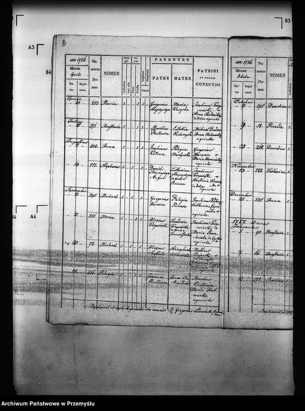 image.from.unit.number "[Kopie ksiąg metrykalnych parafii Majdan Sieniawski z filiami Adamówka, Krasne (dekanat Sieniawa)]"