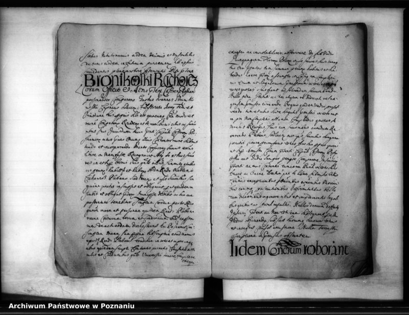 Obraz 11 z jednostki "Inscriptiones [inducta]"