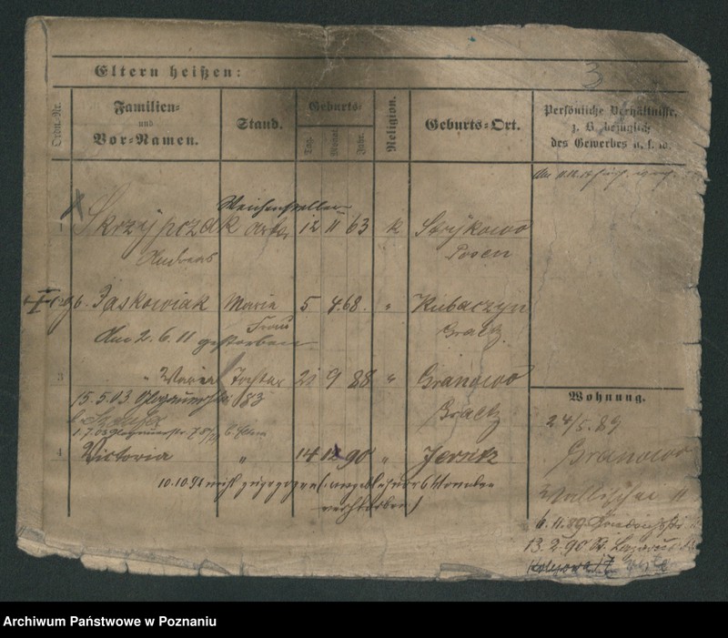 Obraz 10 z jednostki "Skrzypczak (żonaci - samotni mężczyźni)"