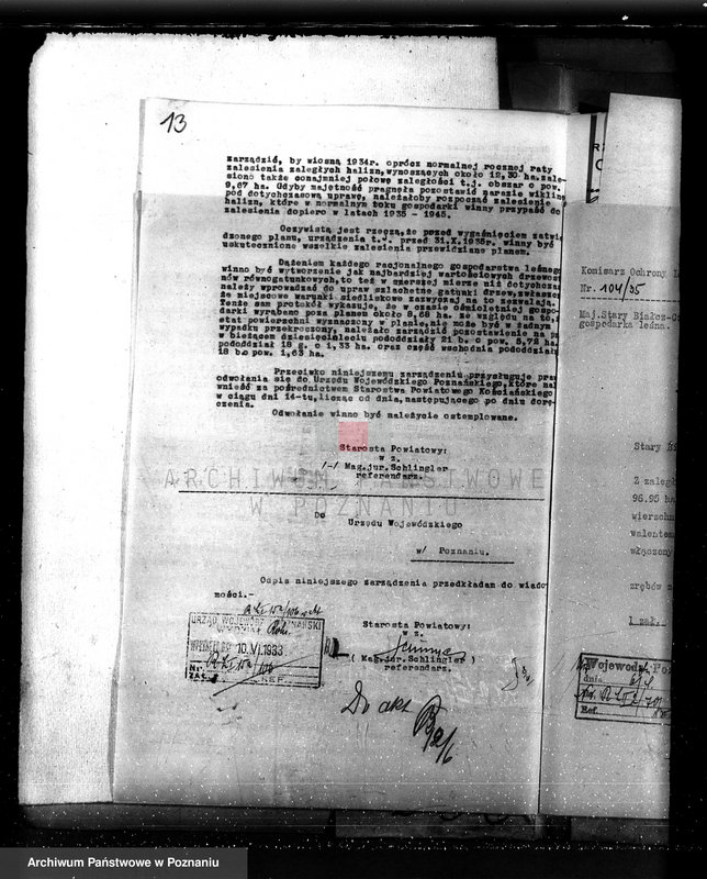 Obraz 17 z jednostki "Nadzór nad gospodarką w lasach majętności Czacz-Białcz powiat kościański"