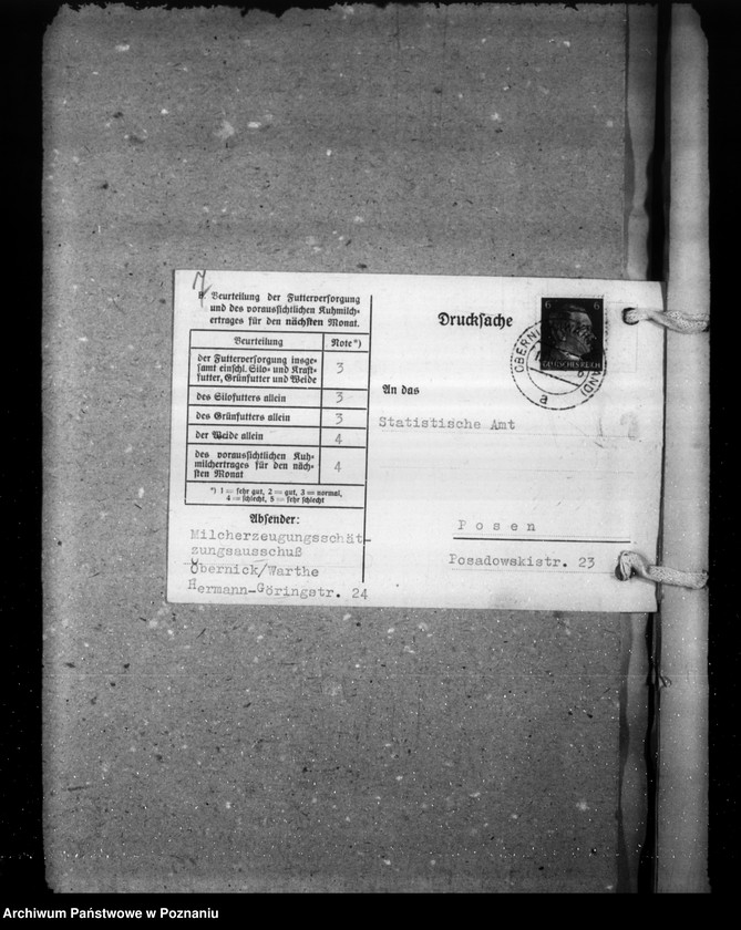 Obraz 11 z jednostki "Milcherzeugungs- Erhebung"