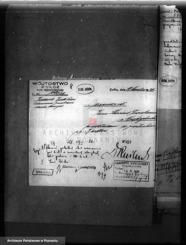 Obraz 12 z jednostki "Majętność leśna Niemierzewo w powiecie międzychodzkim"