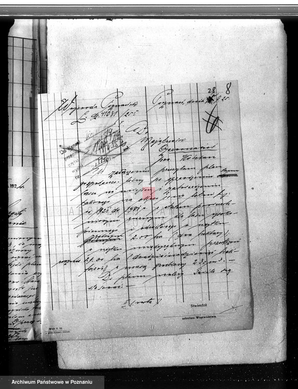 Obraz 12 z jednostki "Nadzór nad gospodarką w lasach majętności Czerwona-Wieś powiat kościański"