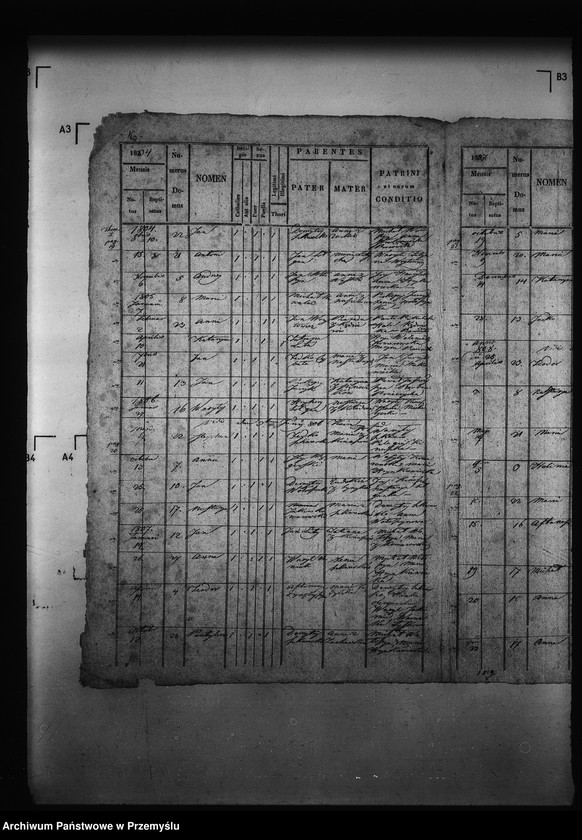 image.from.unit.number "[Kopie ksiąg metrykalnych parafii Kormanice z filiami Kupiatycze, Młodowice (dekanat Niżankowice)]"