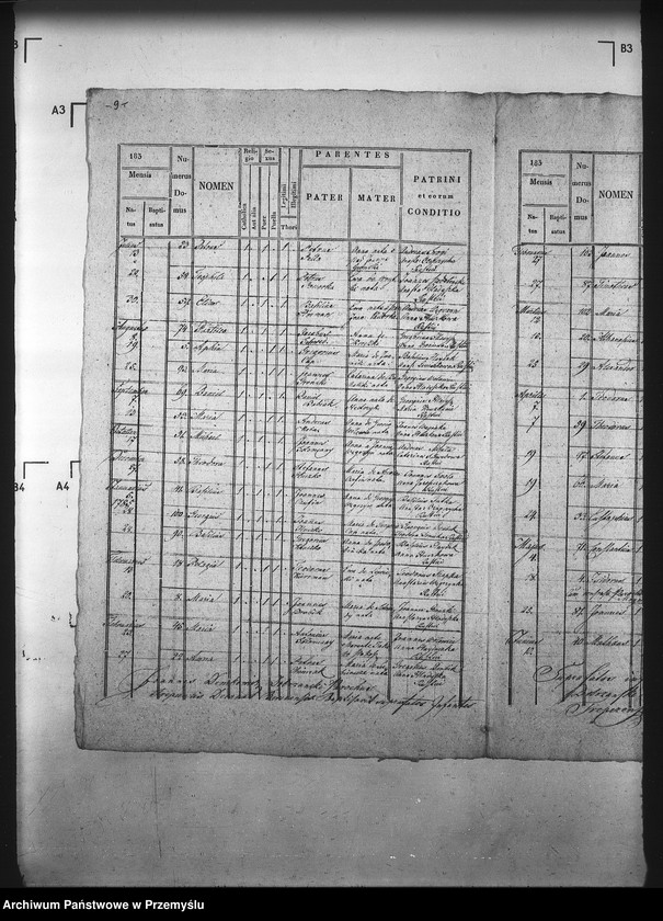 Obraz 13 z jednostki "[Kopie ksiąg metrykalnych parafii Trepcza (dekanat Sanok)]"