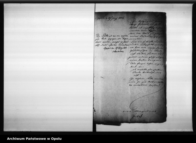Obraz 6 z jednostki "Acta des Magistrats zu Oppeln ueber die Frage ob die ehemalige Minoritten Innsel Polko zum Lande oder zum städtischen Verbande gehören? 1813"