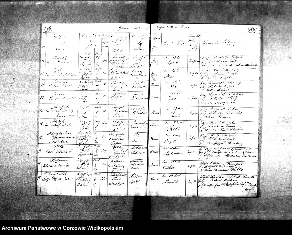 image.from.unit.number "Duplikate der Kirchenbücher von der Parochie Morrn: Morrn (Murzynowo), Alexandersdorf (Gościnowo), Johanneswunsch (Dobrojewo)"