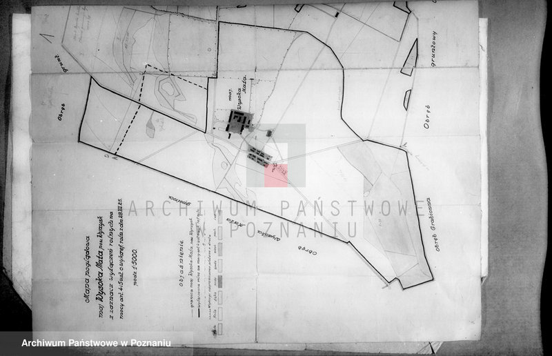 Obraz 8 z jednostki "Majątek Wysoka Mała wyłączenie z art.. 4 i 5 ustawy o wykonaniu reformy Welter Buttner"