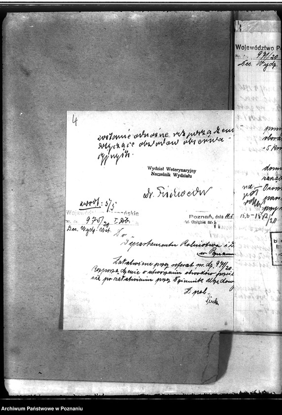 Obraz 8 z jednostki "Zaraza płucna - Jarocin"